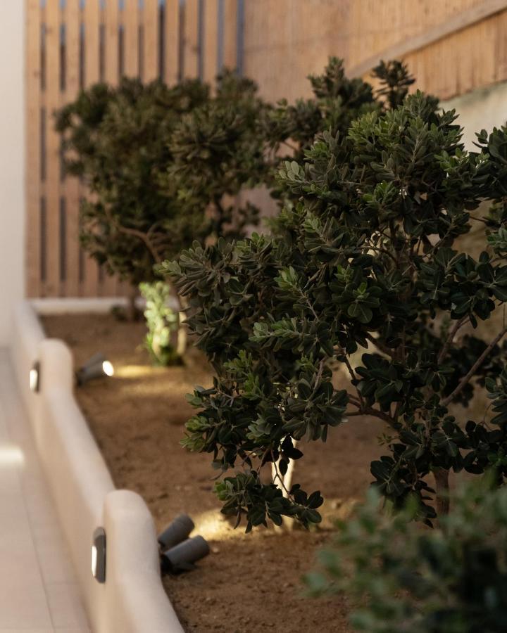 Haka Suites Mykonos Town エクステリア 写真